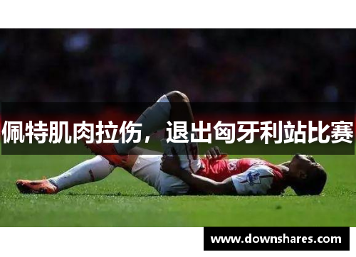 佩特肌肉拉伤，退出匈牙利站比赛